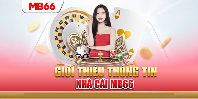 Giới thiệu về MB66