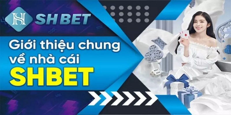 Giới thiệu tổng quan về SHBET