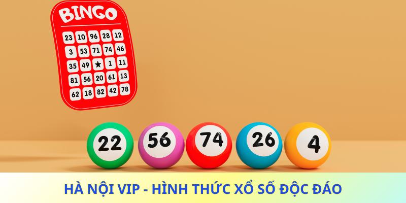 hà nội vip